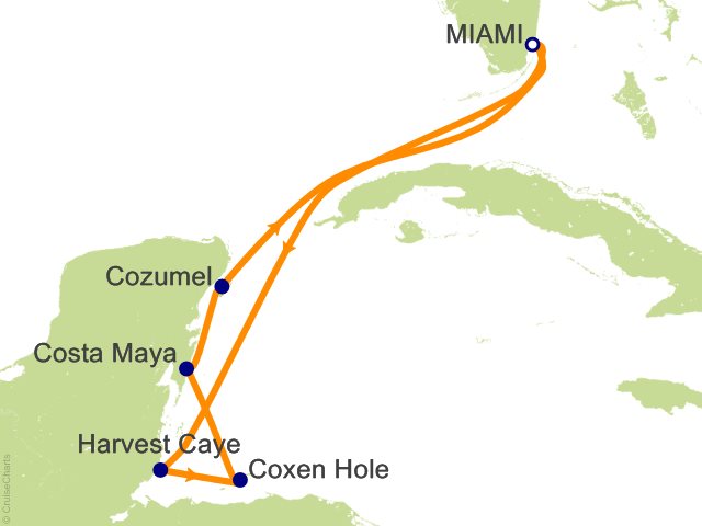 Norwegian Aura - Night Lights